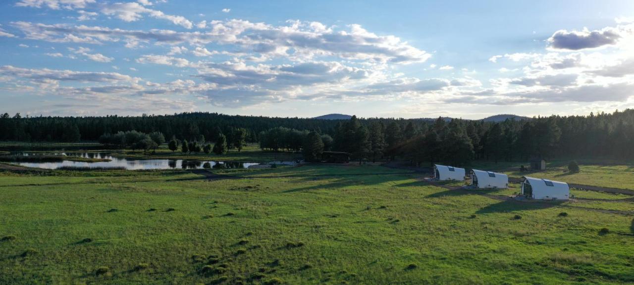 Backland Hotel Williams Kültér fotó